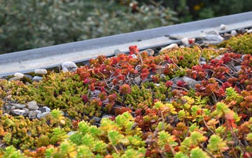 the cost of Yarrow Feus green roof installation