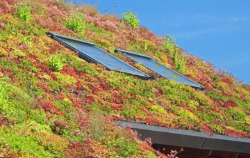Yarrow Feus living roof systems